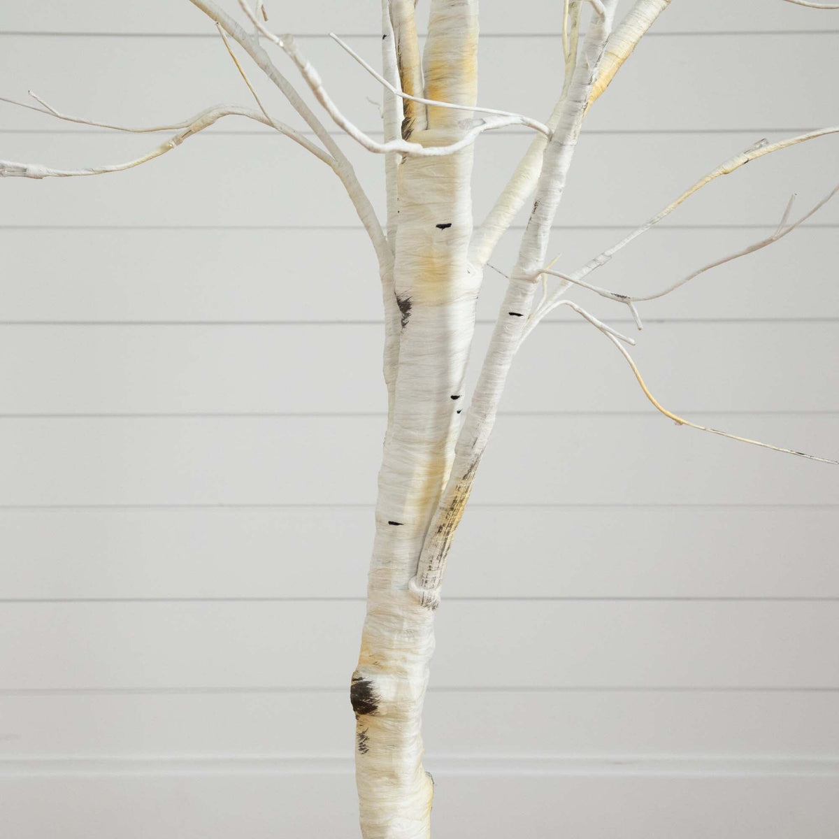 6' Pre-Lit Artificial White Birch Tree with 90 White LED Lights