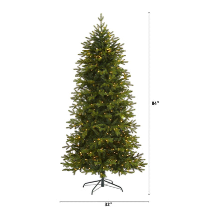 7' Belgium Fir “Natural Look” Artificial Christmas Tree with 500 Clear LED Lights