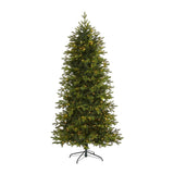 7' Belgium Fir “Natural Look” Artificial Christmas Tree with 500 Clear LED Lights